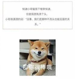 物流搞笑的段子,那些让人捧腹的段子集锦