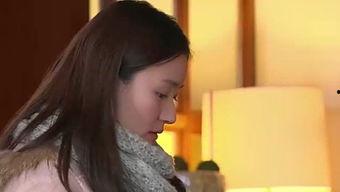 娱乐风云32,璀璨星途，风云变幻