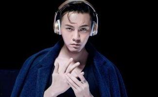 176明星,闪耀娱乐圈的璀璨星辰
